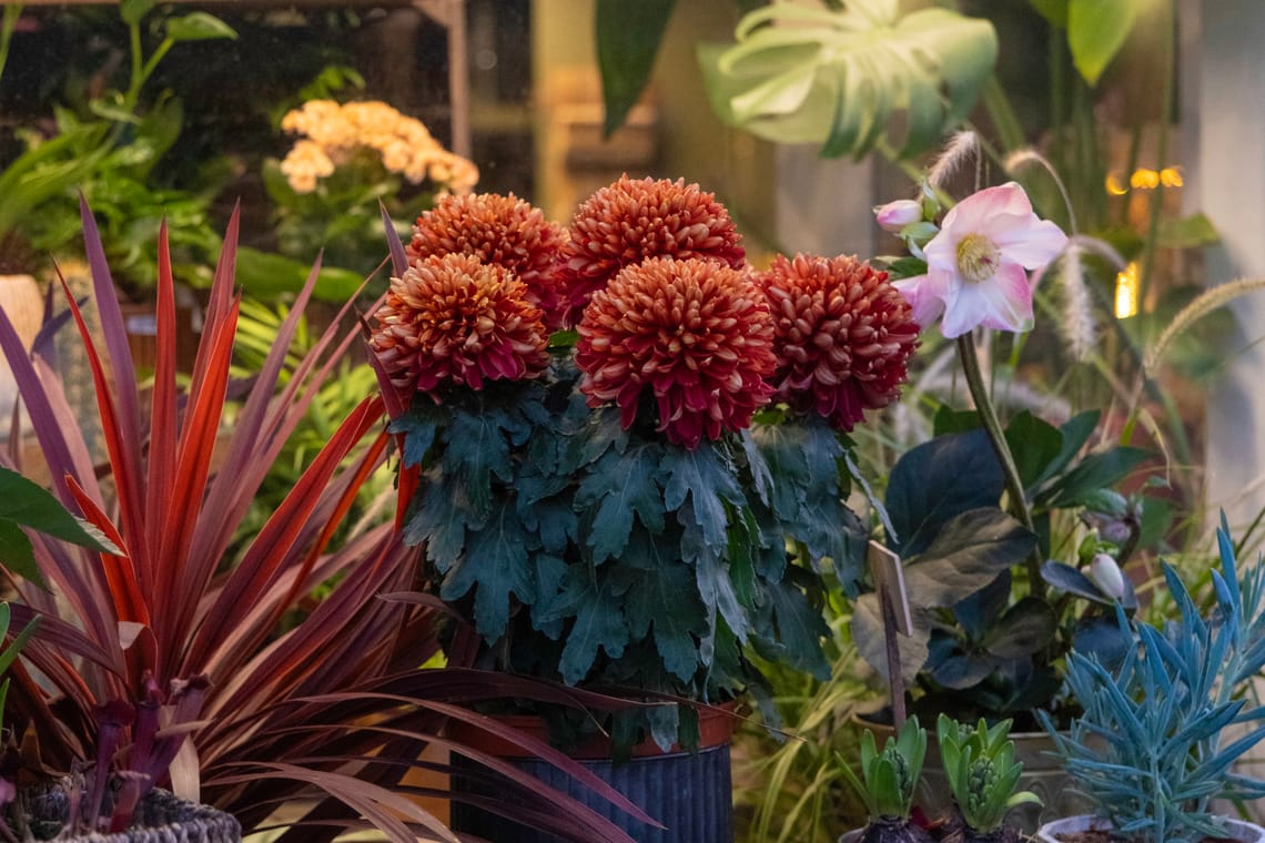 Le Petit Fleuriste